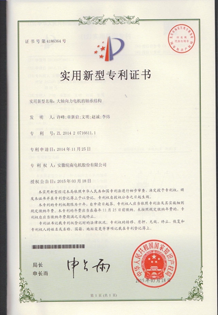 开云手机官方网站,开云中国
：大轴向力电机的轴承结构|电机专利|电动机